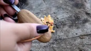 Finding Gold in My Backyard