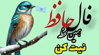 #فال_حافظ