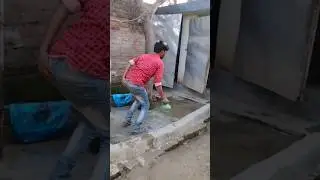 Fort funny video #shortvideo #shorts 2023