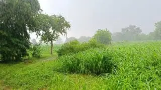 Rainy season 🌧️ #weatherindia #currentweather