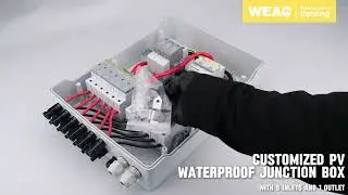 Professional DC Distribution: 6-In-1-Out Box Demo.