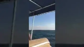 zoni funny tv: # Abu Dhabi # Going  to ras ghurab island abu dhabi # Sea # Speed Boat # site