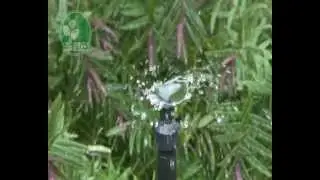 Antelco Vortex Spectrum Spray - By City Irrigation Ltd