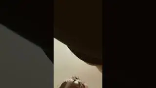 Poopies first video big ole head reveal!!