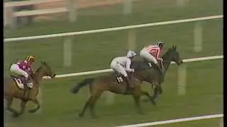 1984 Sun Alliance Chase  A Kinsman Includes Replay