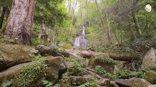 tennessee waterfalls |gatlinburg tennessee waterfalls | tennessee caves and waterfalls