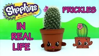 Shopkins in Real Life #38 Prickles from Season 4