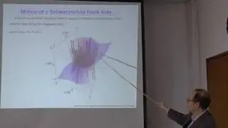 prof. Vladimir Karas 