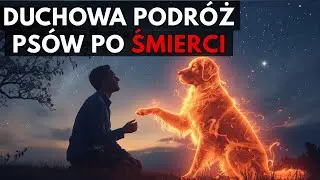 Co Dzieje Się z Duszą Psa w Pierwszych Dniach Po Śmierci &ndash; Edgar Cayce