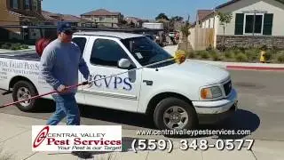 Central Valley Pest Services