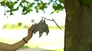 Metalbird Australia - Unboxing and installing a MetalBat