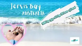 Chinamans Beach |Jervis Bay| Best White Sand Beaches Australia|ඔසීවල සුදු වෙරළ|Travel Australia🇦🇺