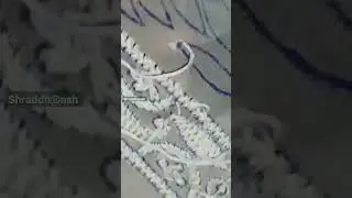 Chikankari embroidery, full vedio link⬇️