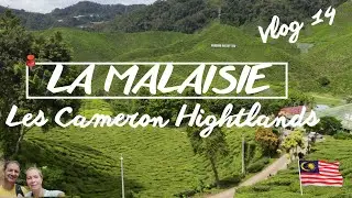 Vlog 14 Les Cameron Highlands - Tanah Rata,  petite ville de montagne situ&eacute;e &agrave; 1400m d'altitude.