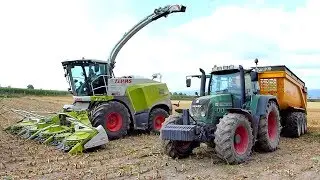 Shredlage Corn Silage Harvest 2019