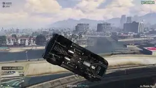 The fish crash car