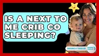 Is A Next To Me Crib Co Sleeping? - Raising A Toddler