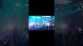 No caer Elli Noise Multiforo Alicia 