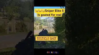 Sniper elite 5 short