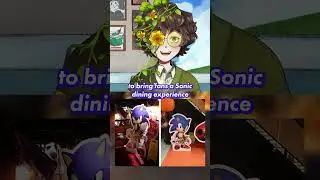 Japans Bizarre Sonic Collab