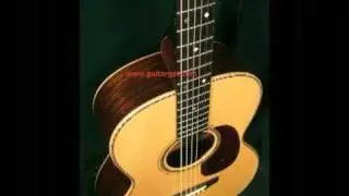 Goodall guitar Model TR 000
