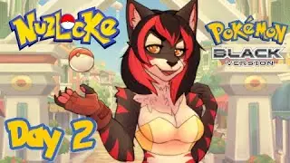 Day 2 Blind Playthough Nuzlocke Pokemon Black!!!! totally no deaths.... yeah...