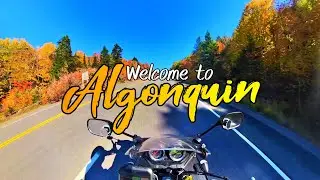 Toronto to Algonquin Provincial Park: Epic Motorcycle & Drone Adventure Through Fall Foliage