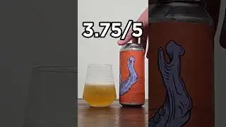 Dislocated from Angry Chair Brewing #beer #craftbeer #beerreview #shorts