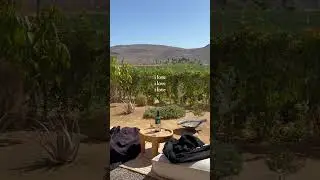 No One Talks About This Hotel Near Cabo&hellip;