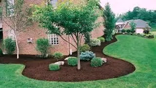 Evergreen Landscape Design Pictures