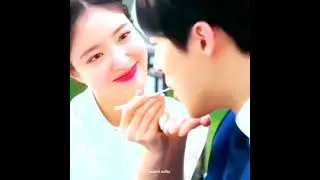 the story of park contract marriage  Korea drama . talky Tamil drama channel