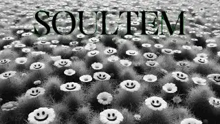คือ?/soultem