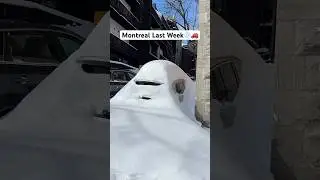#montreal #canada #snow #snowfall #winter #new #shortvideo #shorts #short #quebec #snowstorm #trend