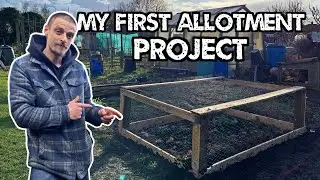 Мой первый проект на новом участке! (Защита фруктов от барсука)
