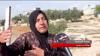 الاحتلال يصادر أكثر من 109 دونمات من أراضي قرية سوسيا جنوب الخليل لصالح الاستيطان