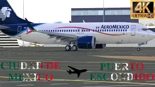 AeroMexico B737-MAX8| CDMX 🇲🇽 Puerto Escondido| Aweeebooo 🗣{RFS PRO 2026}