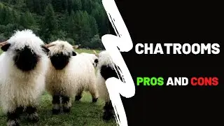 Day Trading - The Pros & Cons of Trading Chat Rooms