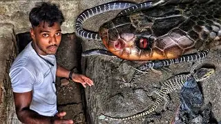मिल गया रात का दानव जिसके साथ था बिछखोपडा😱 जिसे देख लोगों की रूह कांप गई। फिर देखिए इस का क्या हुआ।