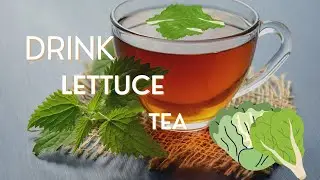 Drink Lettuce Tea to Help You Sleep