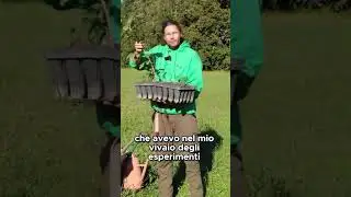 Scopri come piantare un castagno giovane | GUARDA IL VIDEO COMPLETO