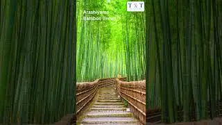 Iconic Places in Japan to Explore | Travel and Tape