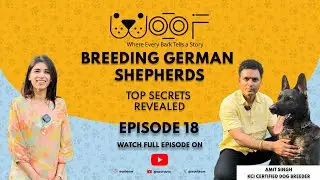 Dog Breeding Explained | Amit Singh, a KCI-certified breeder | woof Episode-18