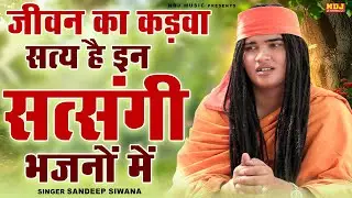 जीवन का कड़वा सत्य है इन सत्संगी भजनों में || Sandeep Siwana || Latest Haryanvi Satsangi Bhajan 2026