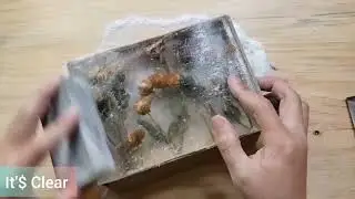 Buzzing Fish Amazing Epoxy _ Flower in Resin