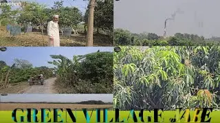 Green Village jalley darbhanga ka sunehra safar