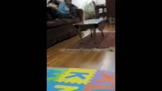 Nikhil's First Steps