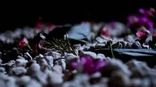 English Touring Opera: The Rape of Lucretia Teaser Trailer