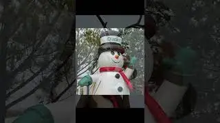 Agent 86 Reconnaissance Footage: Talbot County Holiday Assessment