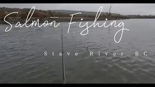 Stave River - Chum Season 2025: Part III