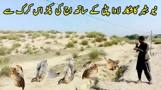 Quail Hunting with Net in pakistan / batair ka shikar 2025 /how to hunt quails by net very munda